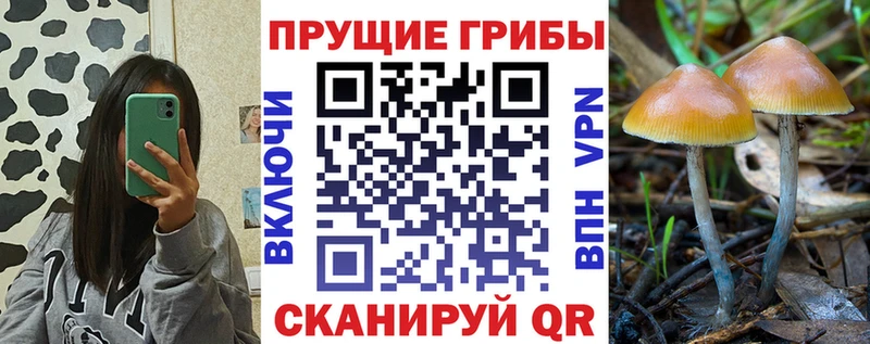 Галлюциногенные грибы ЛСД Трёхгорный